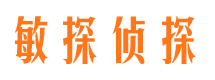 昭平市婚外情调查